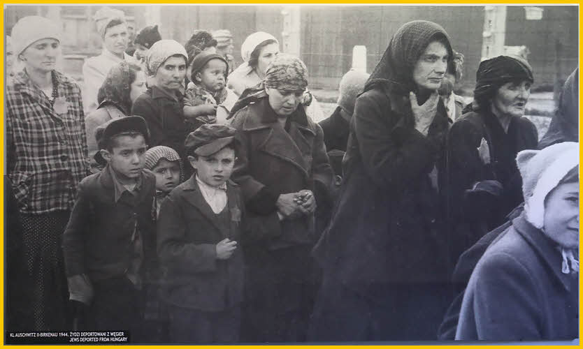 Jews Deported from Hungary